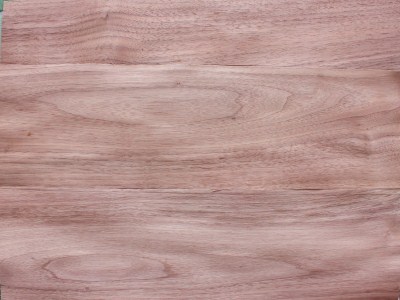 Veneer óc chó vân bông