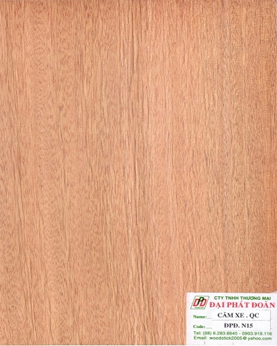 Veneer cam xe sọc