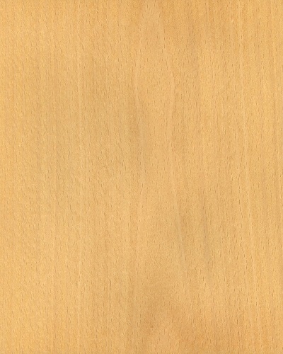 Veneer gỗ dẻ gai lạng phẳng