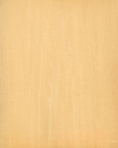 Veneer gỗ đoạn Châu Âu