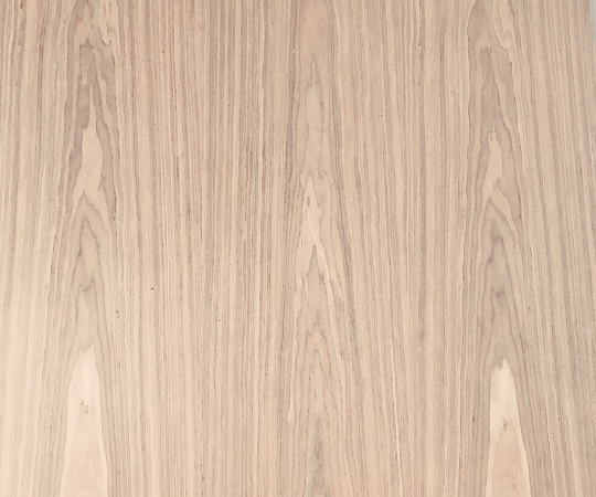 Veneer căm xe