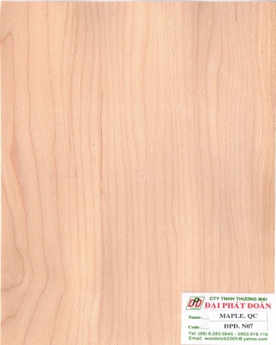 Veneer Maple sọc tự nhiên