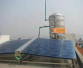 Việt xanh 30