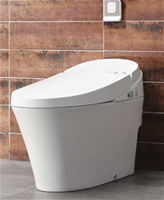 Bồn cầu Viglacera