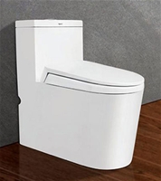 Bồn cầu Viglacera