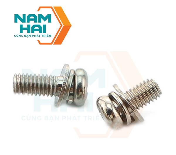 Vít pake đầu tròn long đen kép