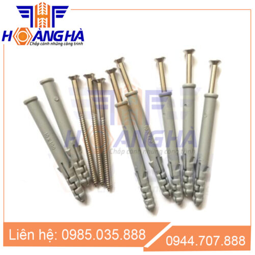 Vít lắp đặt 10x100