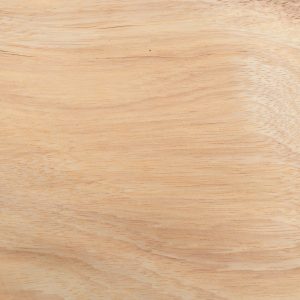 Veneer Pachyloba
