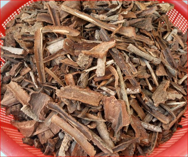 vỏ bời lời