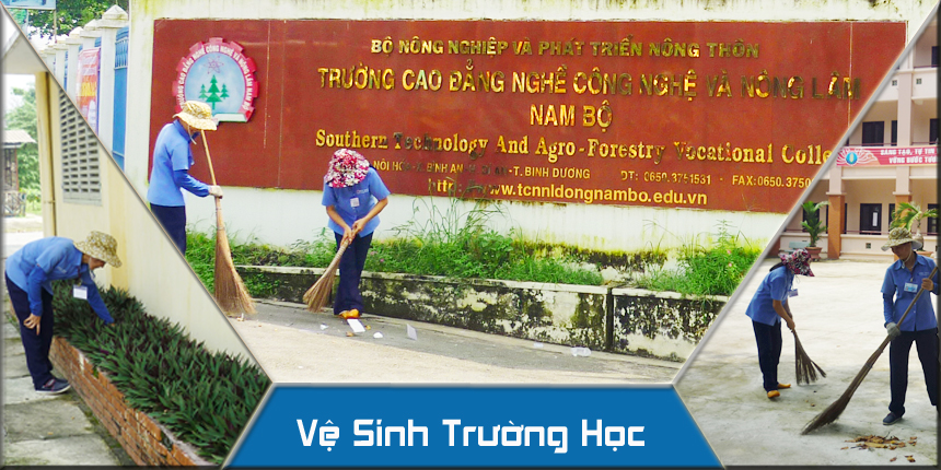 Dịch vụ vệ sinh trường học