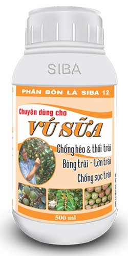 Vú sữa