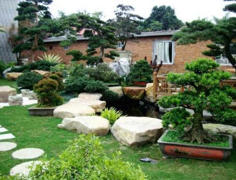 Thi công thiết kế sán vườn