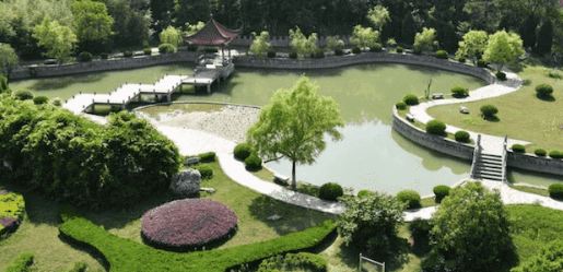 Thi công thiết kế sán vườn