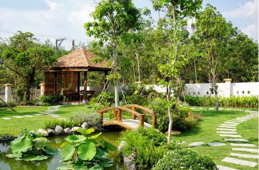 Thi công thiết kế sán vườn