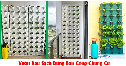 Vườn rau sạch ban công chung cư