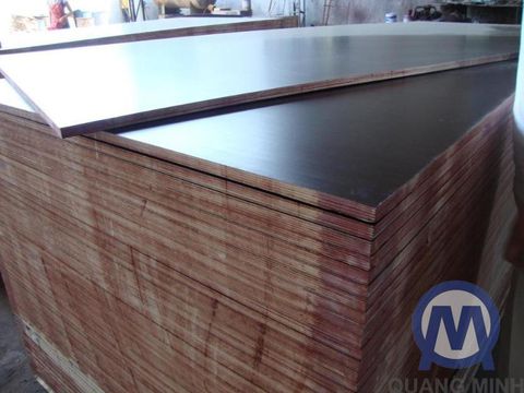 Coppha phủ phim hardwood 12 mm