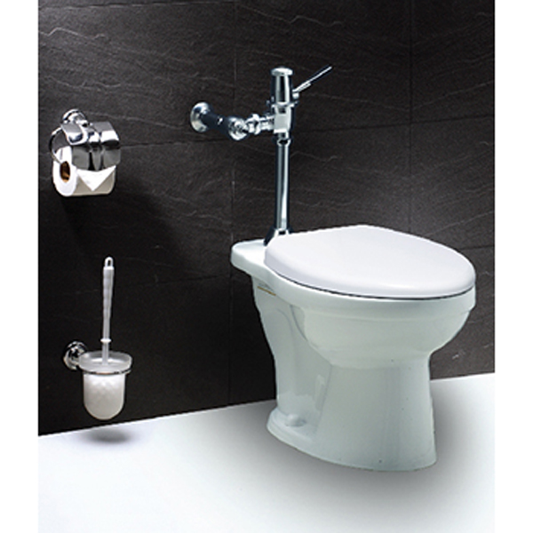 Bồn cầu xẻ gạt tay