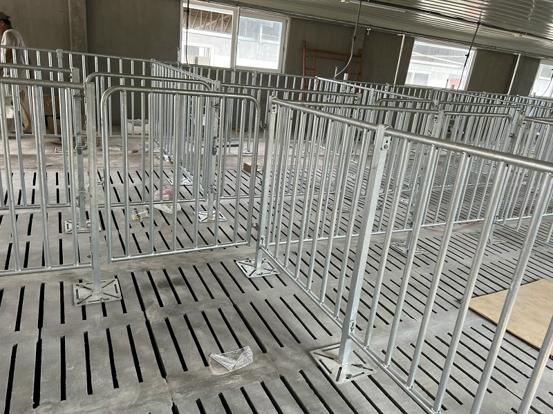Thi công xây dựng chuồng nuôi heo công nghiệp