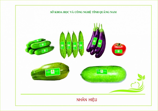 Xây dựng thương hiệu