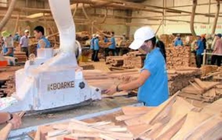 Dịch vụ gia công cắt xẻ gỗ