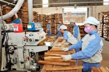 Dịch vụ gia công cắt xẻ gỗ