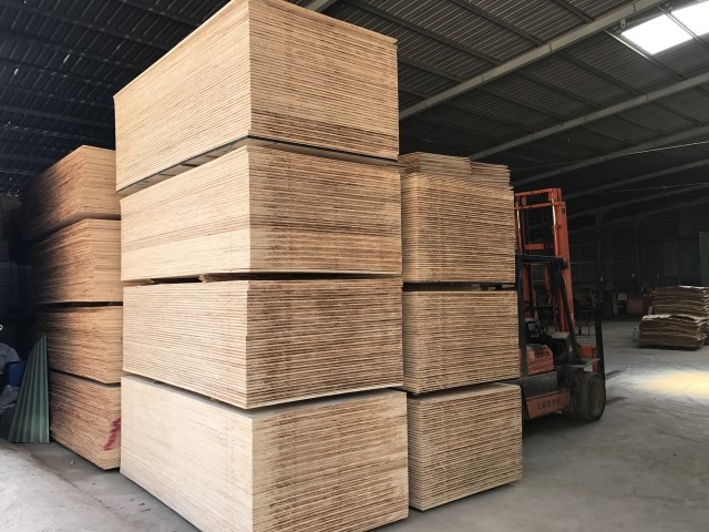 Vận chuyển gỗ trong nhà máy