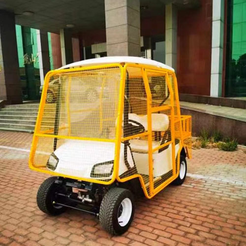 Xe nhặt bóng golf