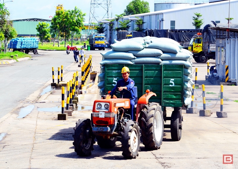 Xếp dỡ vận chuyển