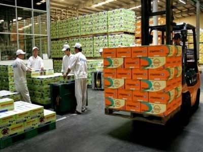 Dịch vụ xếp hàng vào kho