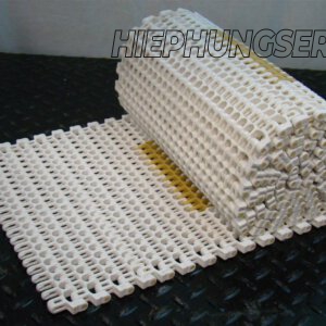 Băng tải xích nhựa