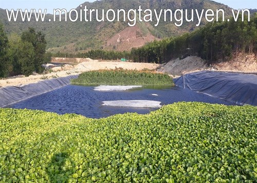 Hệ thống xử lý nước thải trang trại