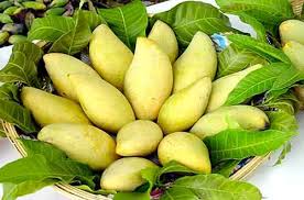 Xoài tươi