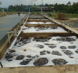 Xử lý nước thải trang trại