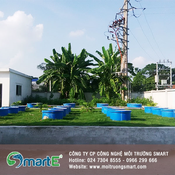 Xử lý nước thải sinh hoạt 300m3/ngày đêm