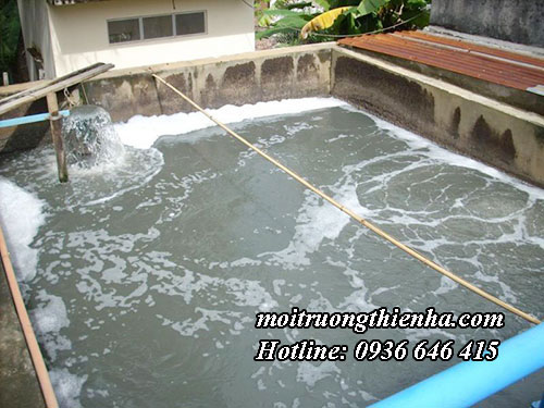 Xử lý nước thải tại Hải Phòng