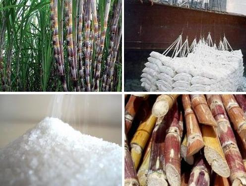 Xử lý nước thải mía đường