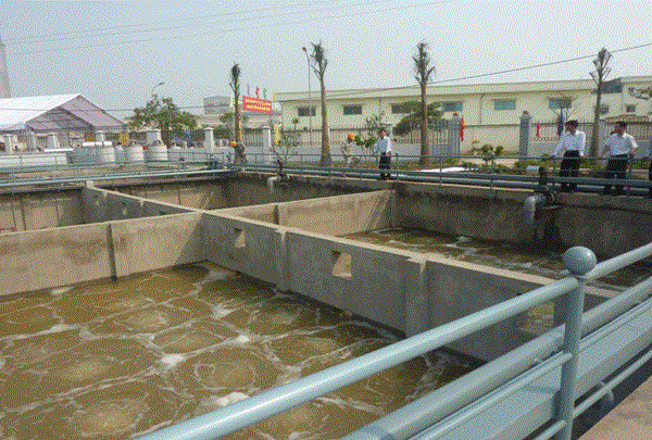 Xử lý nước thải xưởng chế biến gỗ