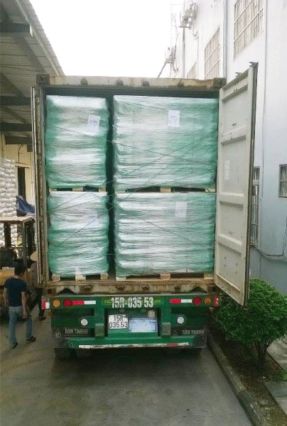 Xuất Container