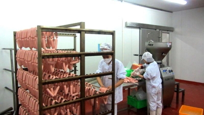 Băng tải nhựa tải xúc xích