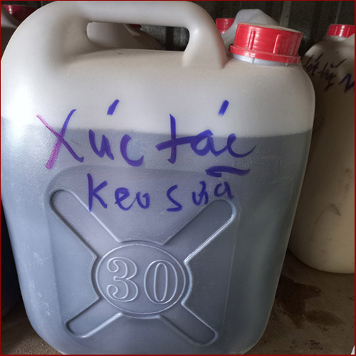 Xúc tác keo sữa