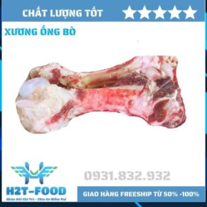 Xương ống bò