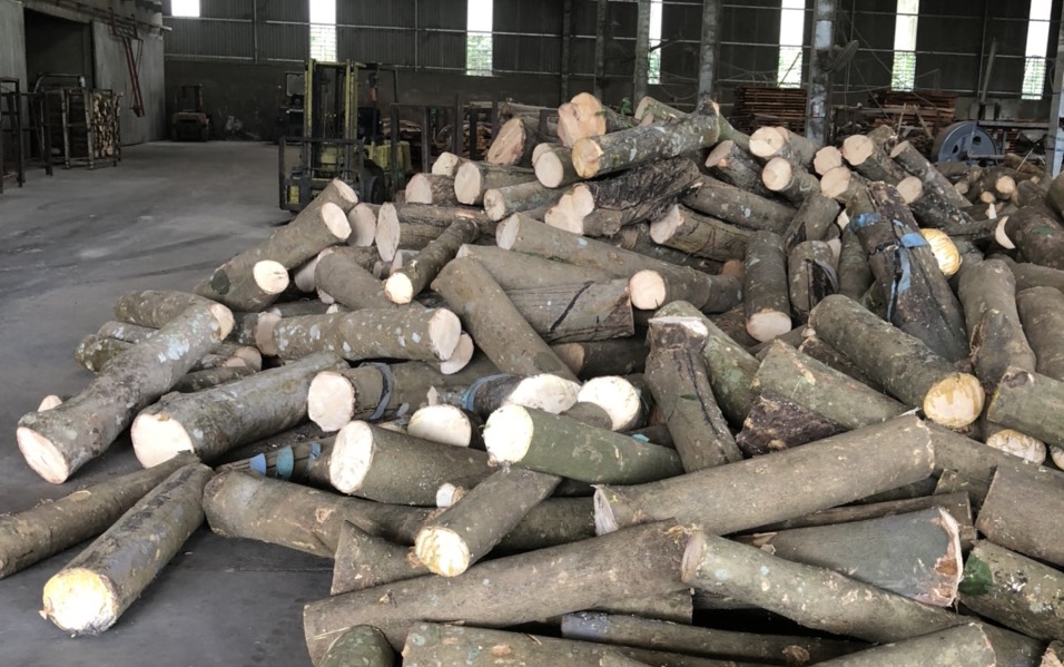 Xưởng sản xuất công ty Gỗ Tân Thành