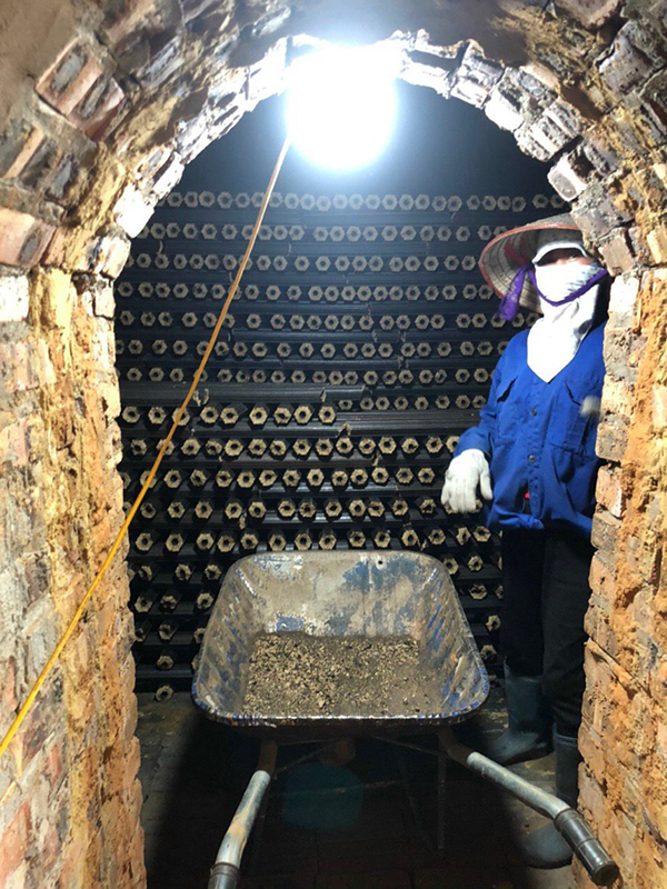 Hình ảnh sản xuất than mùn cưa