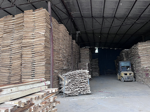 Hình ảnh nhà xưởng sản xuất ván ép