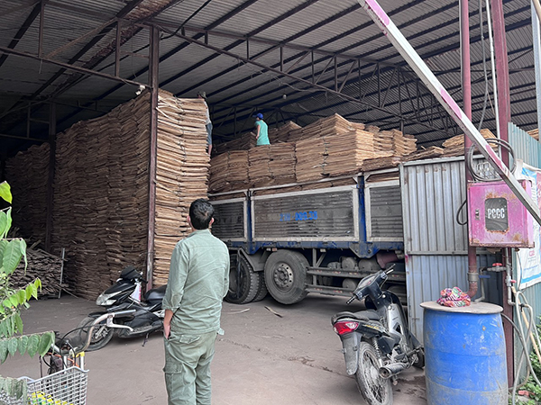 Hình ảnh nhà xưởng sản xuất ván ép