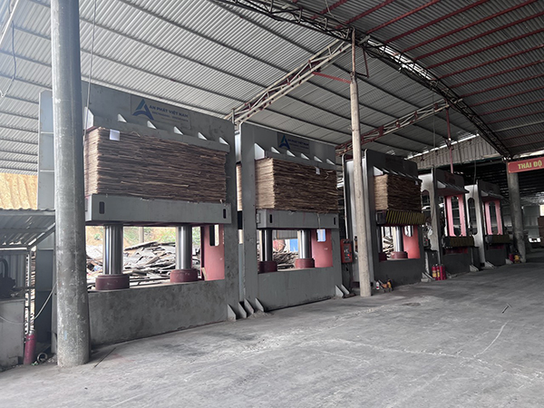 Hình ảnh nhà xưởng sản xuất ván ép