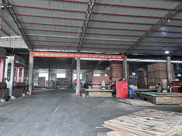 Hình ảnh nhà xưởng sản xuất ván ép