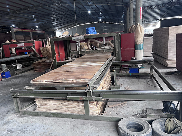 Hình ảnh nhà xưởng sản xuất ván ép
