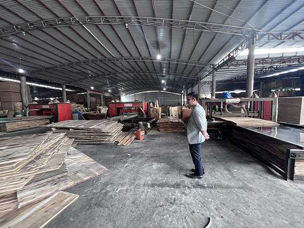 Hình ảnh nhà xưởng sản xuất ván ép