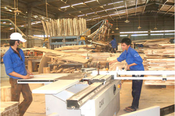 gia công cưa xẻ gỗ